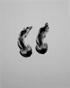 Image description is not available for 2001.088